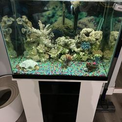 55 Gallon Fish Tank And Accessories