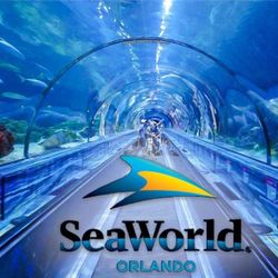 Seaworld! One Day