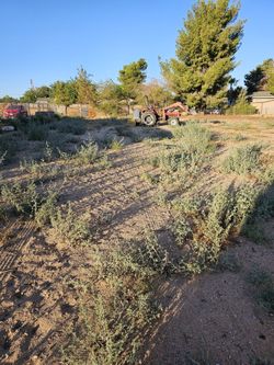 Clean Yard
