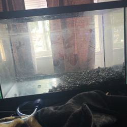 Fish Tank