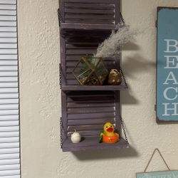 2 Shutter Purple Shelves 18-20” 