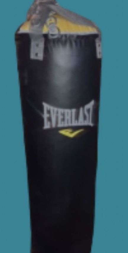 Everlast 100 LB Boxing Bag