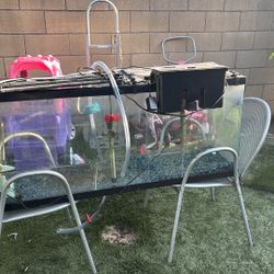 3ft Tank For Fish Or Reptiles