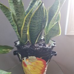 Black Planter/ Harvest Print