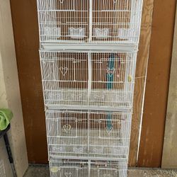 Bird Cages 