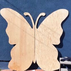 Butterfly Backdrop/ Number One Backdrop 