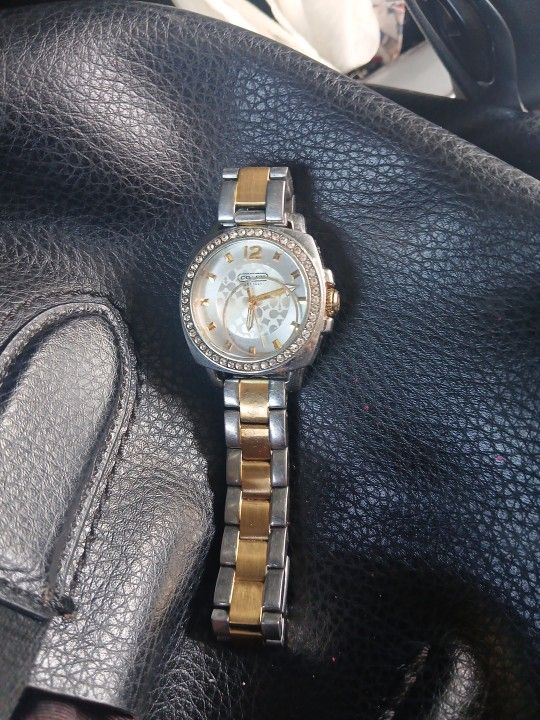 Coach Watch