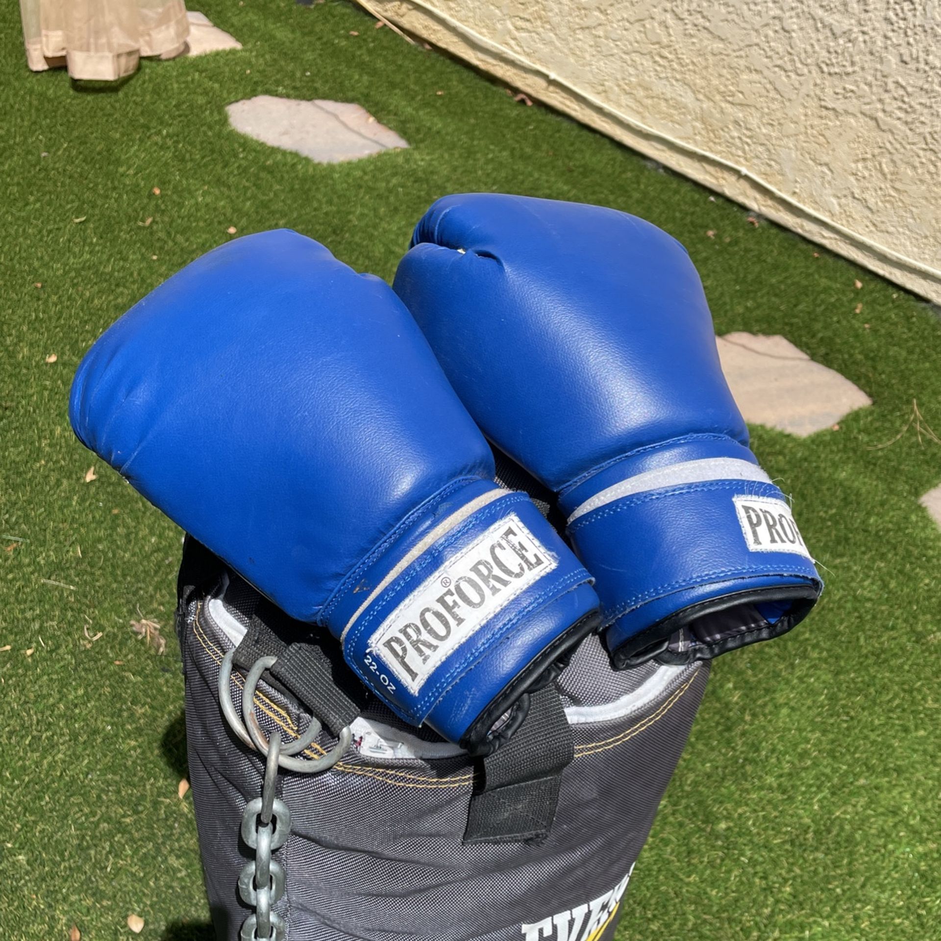 Blue 22oz Boxing Gloves