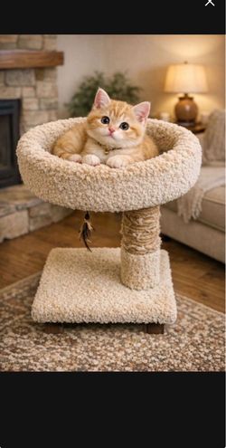 Cat Condo Cat Tree Cat House Cat Scratch Post Scratchers Cat Bed, No Cat Included