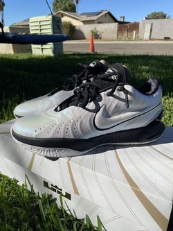 Lebron Basketball shoes