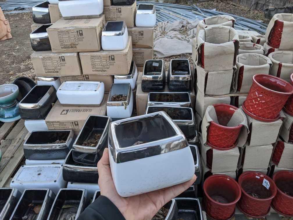 11/7 - New Shipments of Pottery Arriving Soon - Planters & Plants for Sale