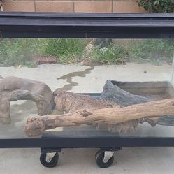 Reptile Tank