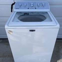 Labadora,Maytag 