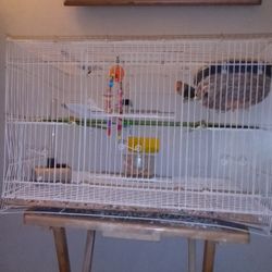 LOVE BIRD CAGE 