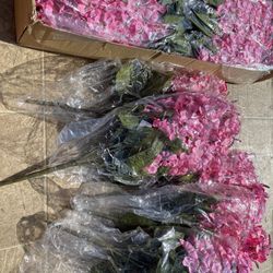 Pink Flowers