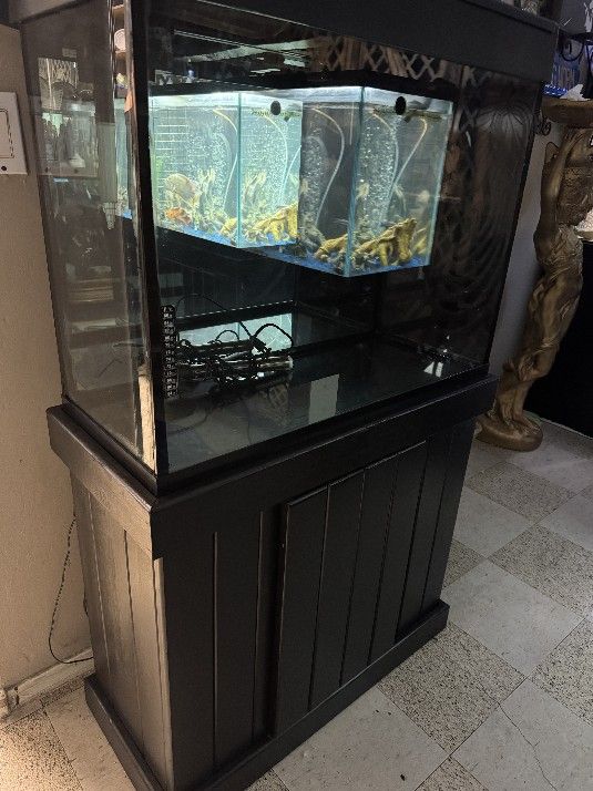 45 Gallon Tall Fish Tank With Stand