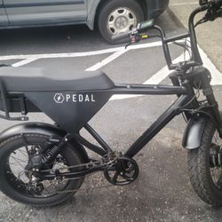 All Wheel Drive S.  Dual motor electric bicycle