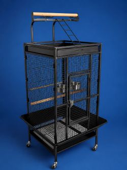 Used Bird Cage