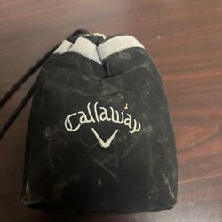 Bag Of Golf Balls 