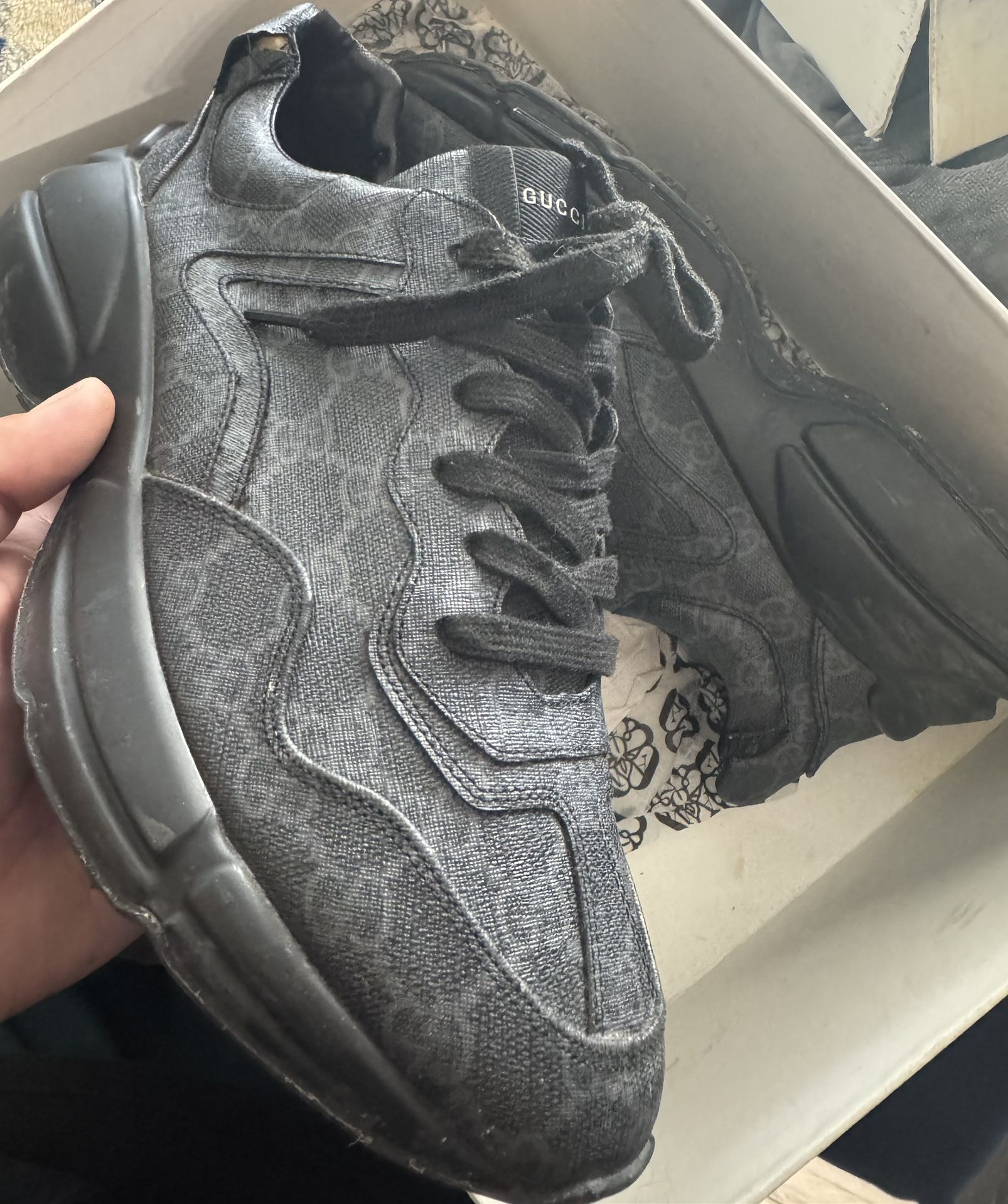 Sz9 Gucci Rhytons