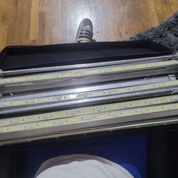 2 Cases Of Grow Lights Or Show Lights