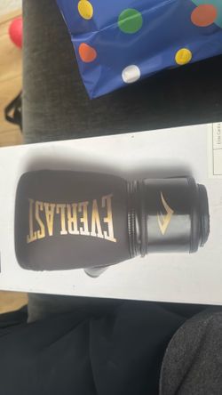 Everlast Elite 2 Boxing Gloves 14 oz.
