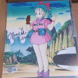 Autographed Signed Dragon Ball Z