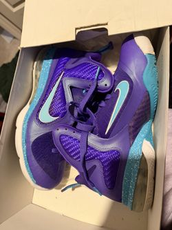 LeBron summit Lake Hornets