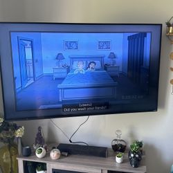 65” Vizio TV