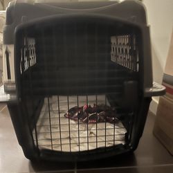 Puppy Crate TSA APPROVED