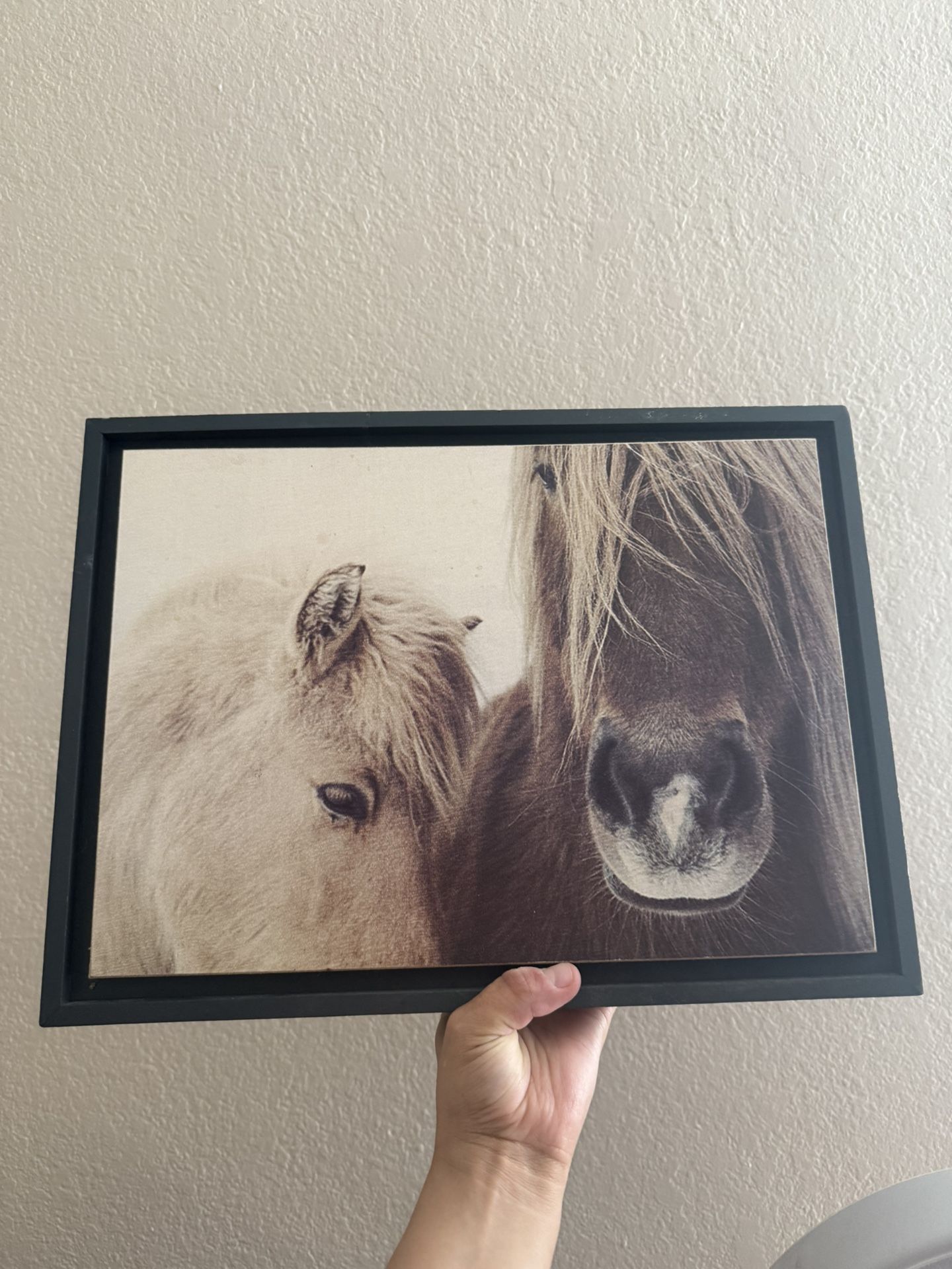 Horse Frame