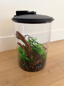 Koller Imagitarium Plastic Cylinder Aquarium, 2.5 Gallon