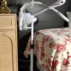 Steamer with Magnifying Lamp