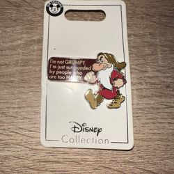 Disney Pin 7 Dwarfs