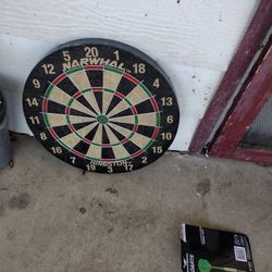Dart Board With Darts 