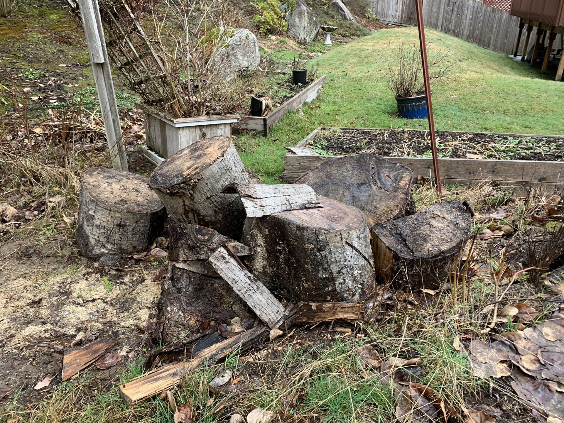 Free Logs