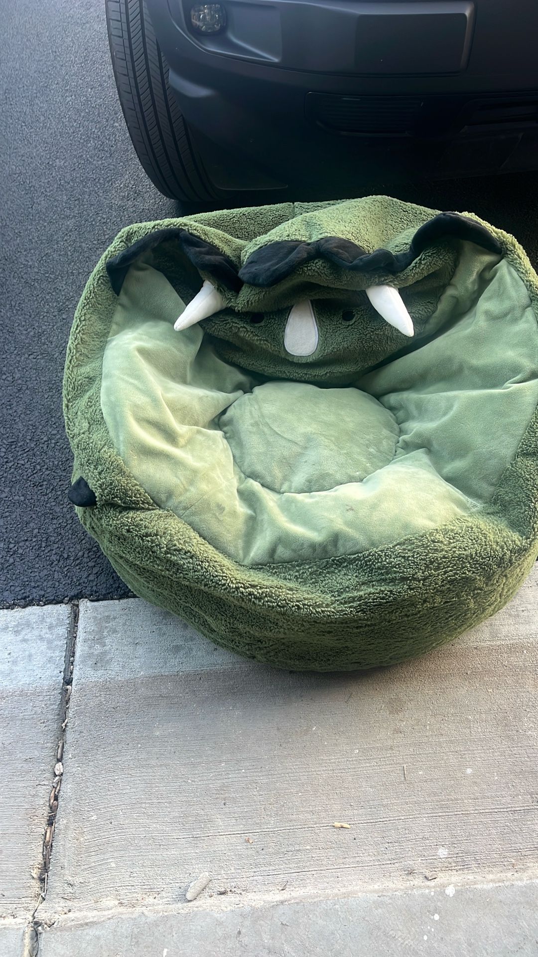 Kids Dinosaur Cushion Seat