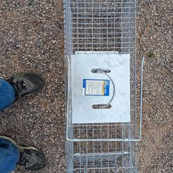 Animal Trap