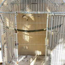 Bird Cage/ Jaula De Pajaros