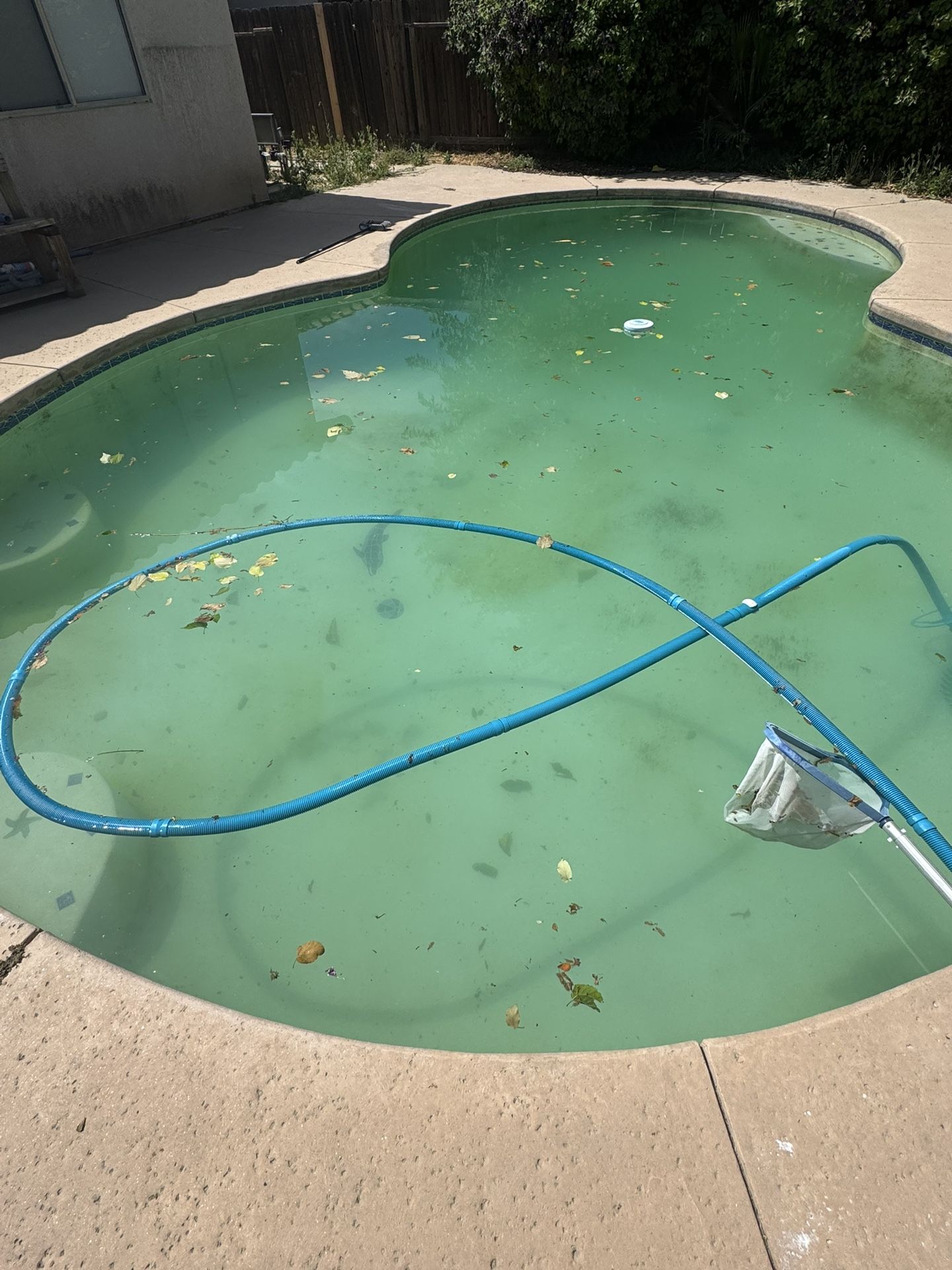 Need Service Quotes For My Pool