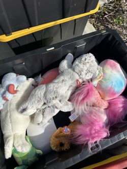 Stuffed Animals. Almost New.