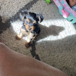 If the price is right it’s yours