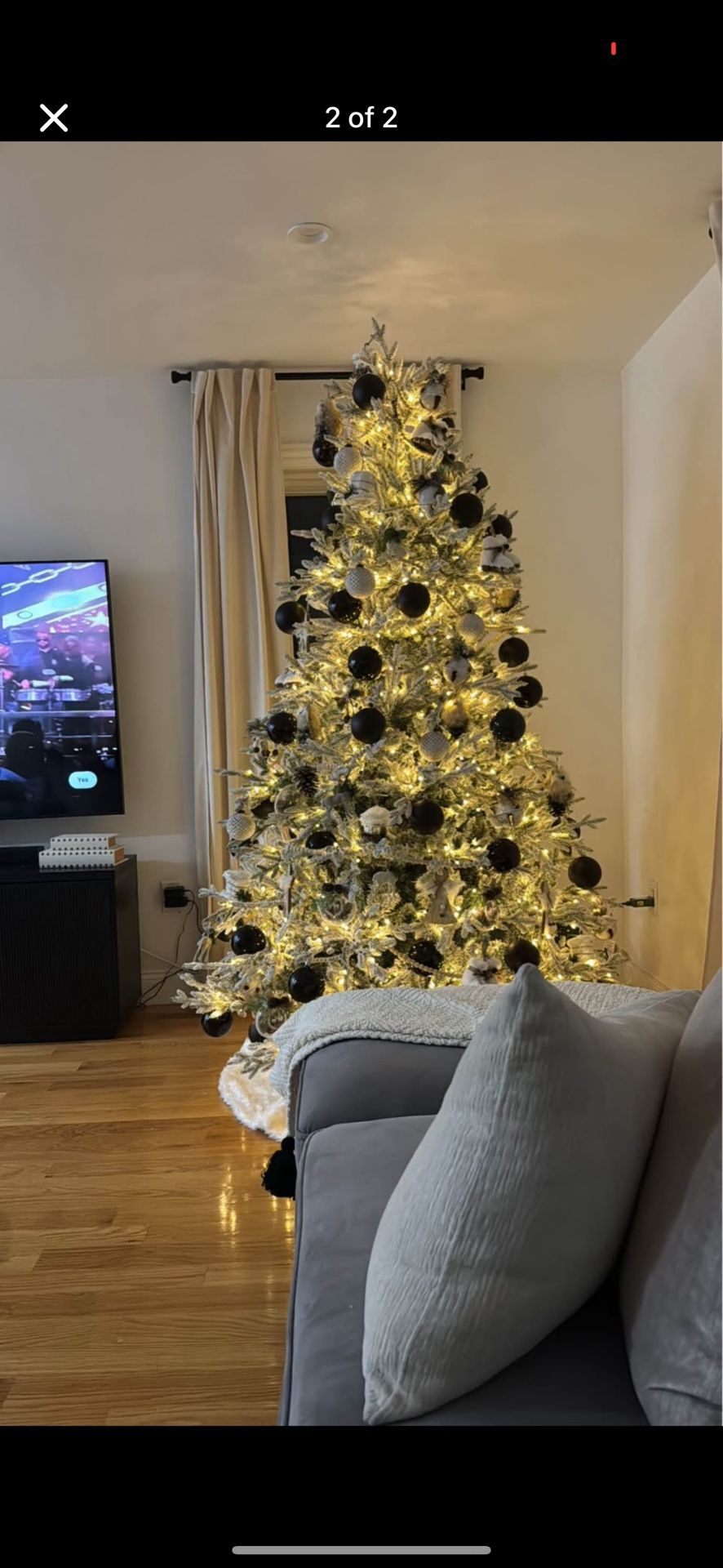 Tree 7.5 Only For 75$