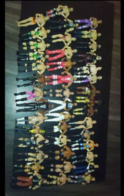 WWE Wrestling Action Figure Lot (40+ Figures)