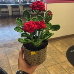 Crochet Rosas