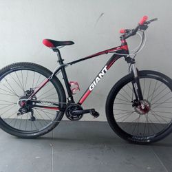  BICYCLE GIANT 21 SPEED SIZE-29 BRAND NEW 