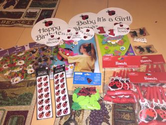 LadyBug Theme Party Decorations