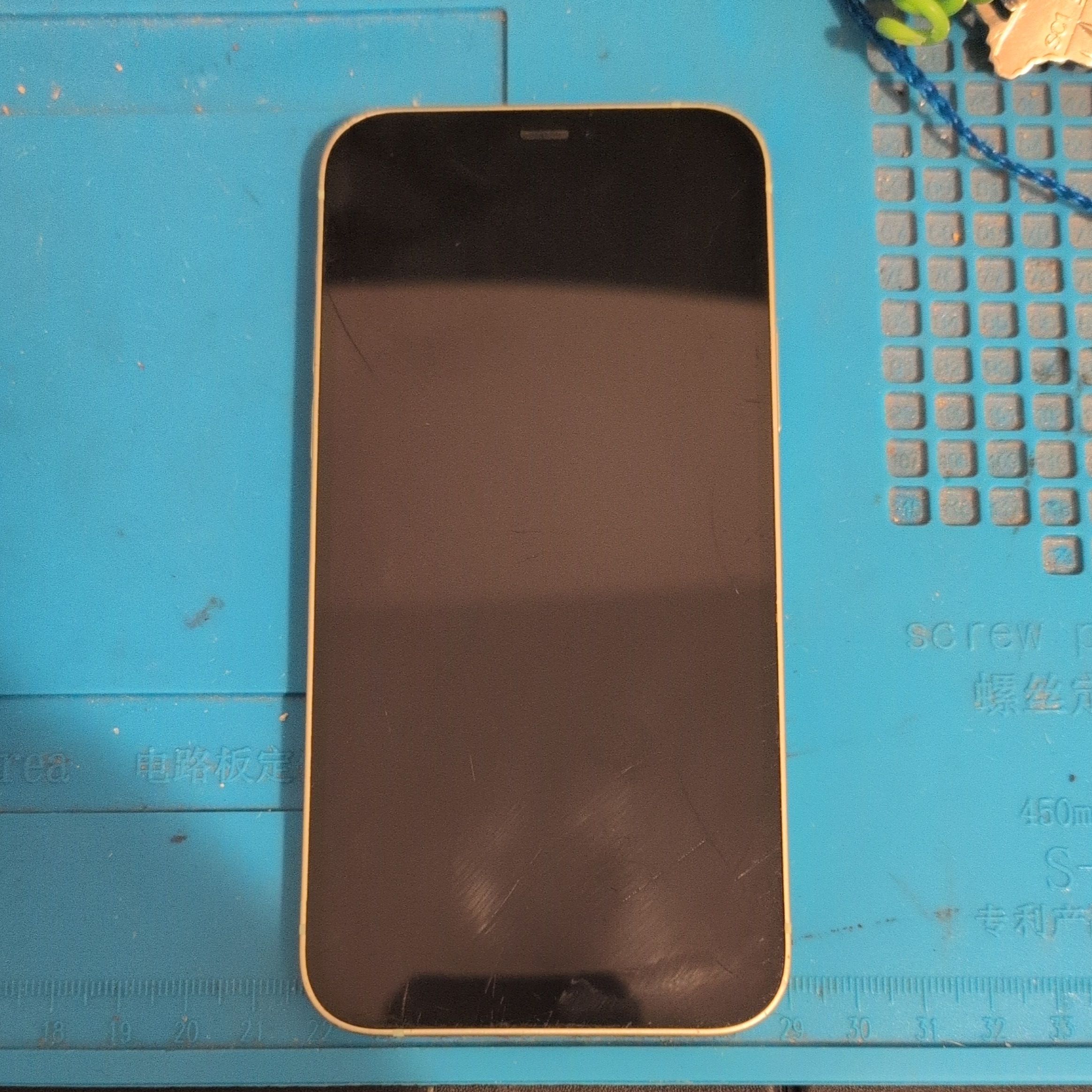 Green iPhone 12