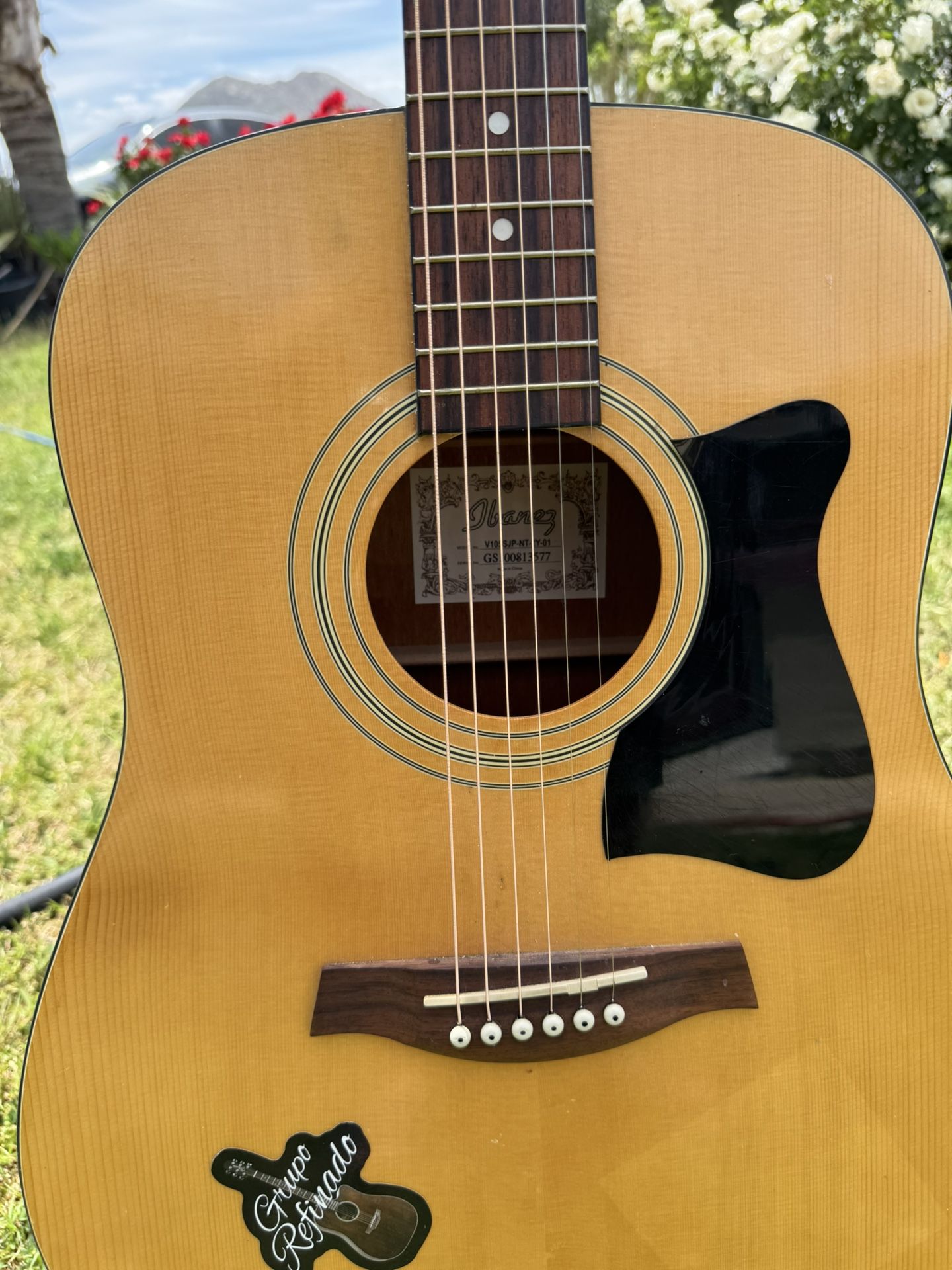 Guitar