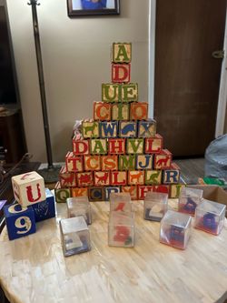 Vintage Wooden Embossed Alphabet Blocks/Plastic Animal Blocks/48 Pieces/1950’s-1960’s